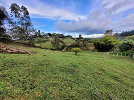  Land for sale in Guarne, Antioquia, Guarne