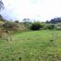  Land for sale in Guarne, Antioquia, Guarne