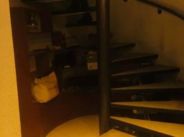 4 Schlafzimmer Haus zu verkaufen in Alvaro Obregon, Mexico City, Alvaro Obregon