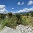在Loja出售的 土地, Loja, Loja, Loja