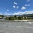 在Loja出售的 土地, Loja, Loja, Loja