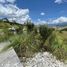 在Loja出售的 土地, Loja, Loja, Loja