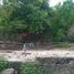  Land for sale in Liloan, Central Visayas, Liloan