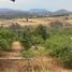  Land for sale in Tenango Del Valle, Mexico, Tenango Del Valle