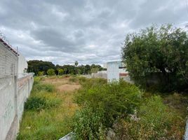  Grundstück zu verkaufen in Queretaro, Queretaro, Queretaro, Queretaro