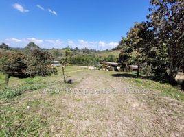  Grundstück zu verkaufen in Rionegro, Antioquia, Rionegro, Antioquia
