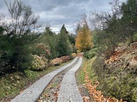  Land for sale in Cautin Araucania, Villarrica, Cautin, Araucania, Chile