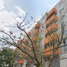 2 Habitación Apartamento en venta en Cuauhtemoc, Ciudad de México, Cuauhtemoc