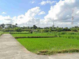  Terrain for sale in Gianyar, Bali, Blahbatu, Gianyar