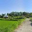  Terrain for sale in Gianyar, Bali, Blahbatu, Gianyar