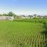  Terrain for sale in Gianyar, Bali, Blahbatu, Gianyar