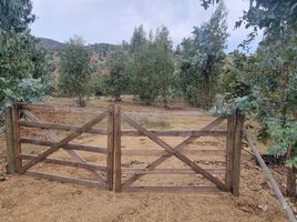  Land for sale in Chile, Pumanque, Colchagua, Libertador General Bernardo Ohiggins, Chile