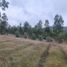  Land for sale in Chile, Pumanque, Colchagua, Libertador General Bernardo Ohiggins, Chile
