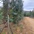  Land for sale in Chile, Pumanque, Colchagua, Libertador General Bernardo Ohiggins, Chile