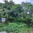  Land for sale in Poncitlan, Jalisco, Poncitlan