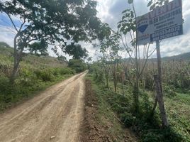  Land for sale in Santa Ana, Manabi, Santa Ana De Vuelta Larga, Santa Ana