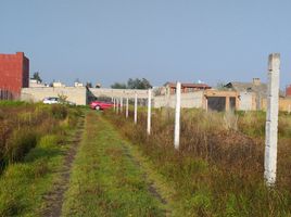  Grundstück zu verkaufen in Almoloya De Juarez, Mexico, Almoloya De Juarez