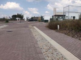  Terreno (Parcela) en venta en Huimilpan, Querétaro, Huimilpan