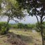  Land for sale in Palmira, Valle Del Cauca, Palmira