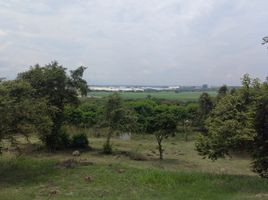  Land for sale in Palmira, Valle Del Cauca, Palmira