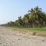  Grundstück zu verkaufen in Jose Azueta, Guerrero, Jose Azueta, Guerrero
