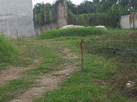  Grundstück zu verkaufen in Coatepec, Veracruz, Coatepec
