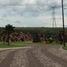  Land for sale in Lagos De Moreno, Jalisco, Lagos De Moreno