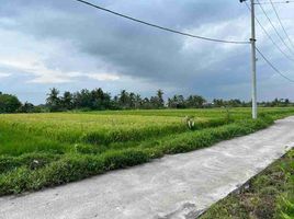  Land for sale in Pura Tanah Lot, Kediri, Tabanan