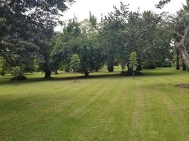  Land for sale in Tumbaco, Pichincha, Tumbaco