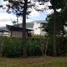  Land for sale in Tumbaco, Pichincha, Tumbaco