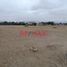  Terreno (Parcela) en venta en Asia, Lima, Asia