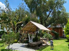 4 Schlafzimmer Haus zu verkaufen in Coyoacan, Mexico City, Coyoacan