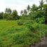  Terrain for sale in Bicol, Legazpi City, Albay, Bicol