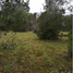  Land for sale in Chile, Puerto Montt, Llanquihue, Los Lagos, Chile
