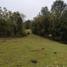  Land for sale in Chile, Puerto Montt, Llanquihue, Los Lagos, Chile