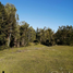  Land for sale in Chile, Puerto Montt, Llanquihue, Los Lagos, Chile