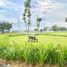  Land for sale in Baliuag, Central Luzon, Baliuag