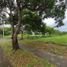  Land for sale in Cavite, Calabarzon, General Trias City, Cavite