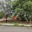  Terreno (Parcela) en venta en Piura, Piura, Piura, Piura, Piura