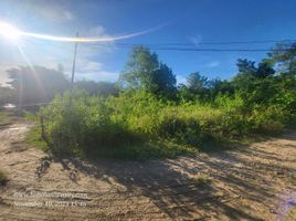  Grundstück zu verkaufen in Bohol, Central Visayas, Dauis