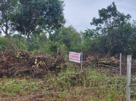  Terrain for sale in Hinagdanan Cave, Dauis, Dauis