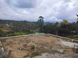  Land for sale in Cauca, Popayan, Cauca