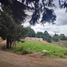  Land for sale in Cauca, Popayan, Cauca