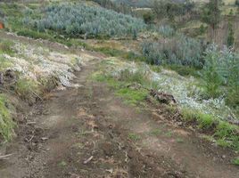  Terrain for sale in Otavalo, Otavalo, Otavalo