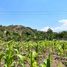  Land for sale in Malacatos Valladolid, Loja, Malacatos Valladolid, Loja, Loja