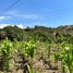  Land for sale in Malacatos Valladolid, Loja, Malacatos Valladolid, Loja, Loja