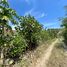  Land for sale in Malacatos Valladolid, Loja, Malacatos Valladolid, Loja, Loja