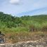  Land for sale in Consolacion, Cebu, Consolacion