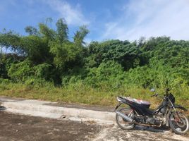  Land for sale in Consolacion, Cebu, Consolacion