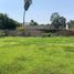  Land for sale in Pachacamac, Lima, Pachacamac